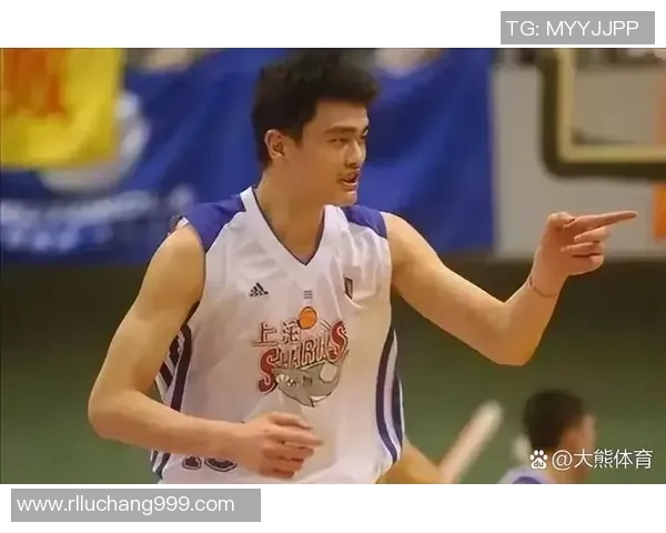 姚明在2010年赛季的精彩得分表现与篮球生涯回顾